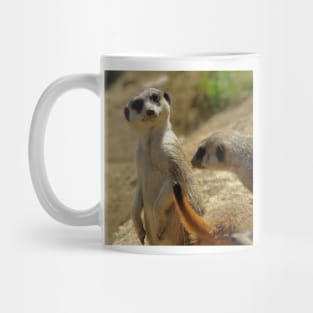 Meerkat at the Zoo Mug